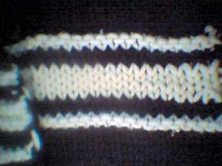 Mallineule l&auml;hikuvassa