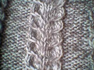 kapalapalmikko yl&ouml;s