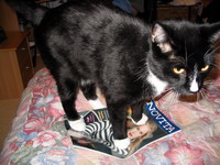 Maxi ja Novita-lehti