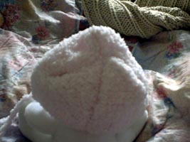 Nalle ja myssu takaa